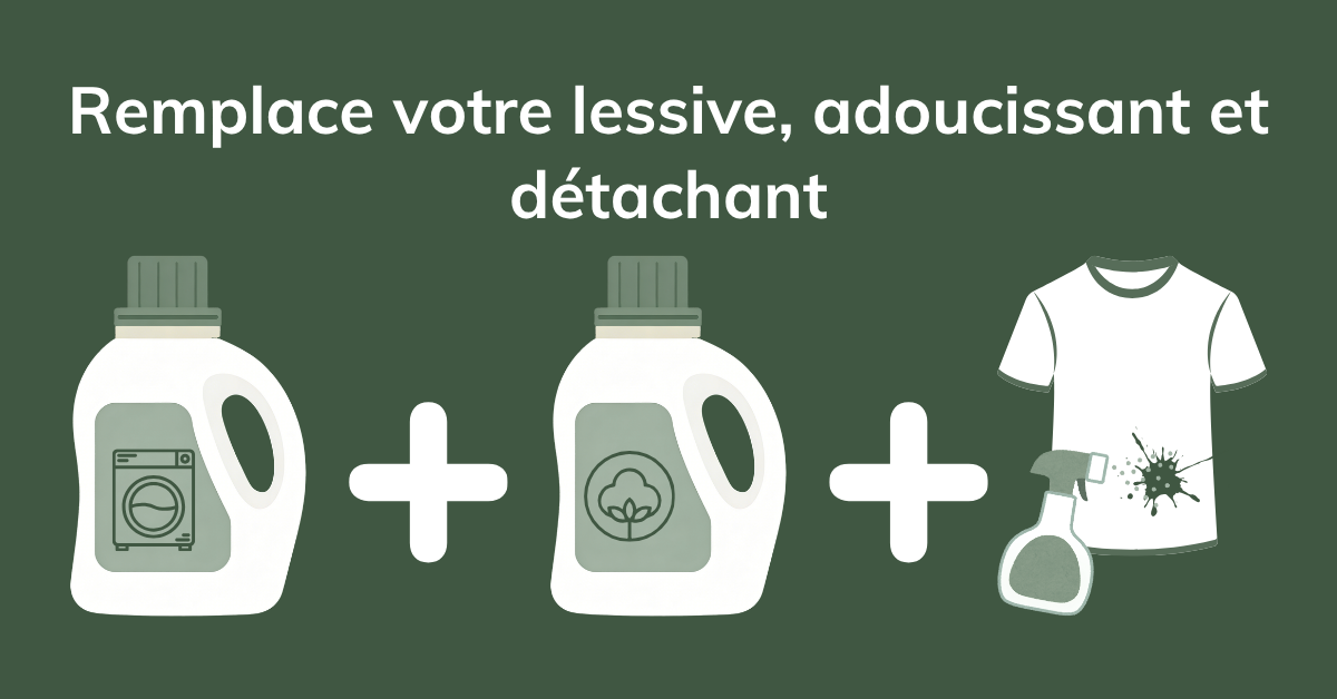 Lessive en poudre multi-usage